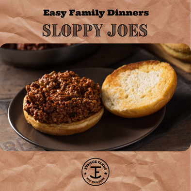 Ground beef easy recipes sloppy joes family dinner