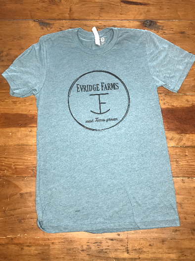 Stone Blue T Shirt