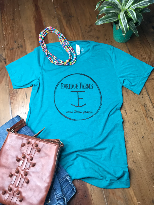 Teal T Shirt