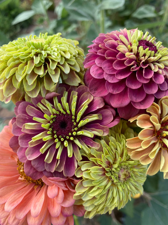 Mason Jar Arrangements